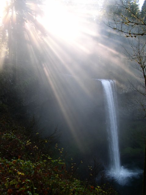 Silver Falls 12.10.05 005 